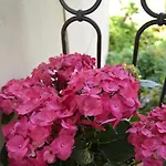 Couette-café Chez Moi 3*